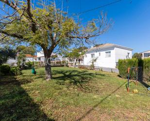 Vista exterior de Casa o xalet en venda en Alzira amb Aire condicionat, Calefacció i Jardí privat