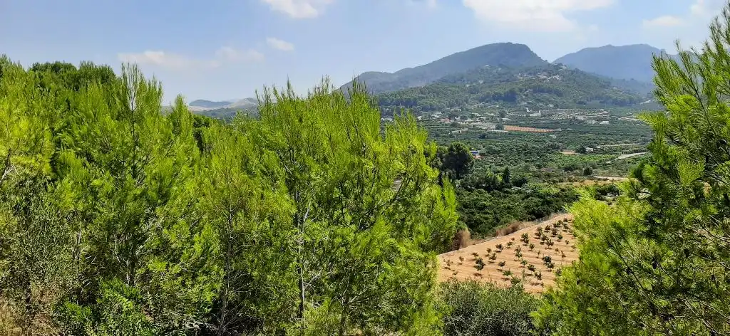 Residential land for sale in Carrer del Tallat Roig, imagen 4