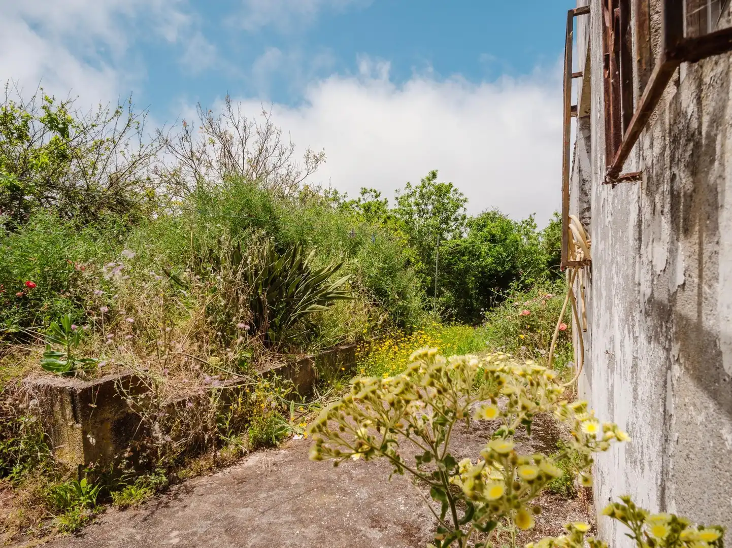 Houses for sale in Moya (Las Palmas)  with Private garden, Terrace and Balcony
