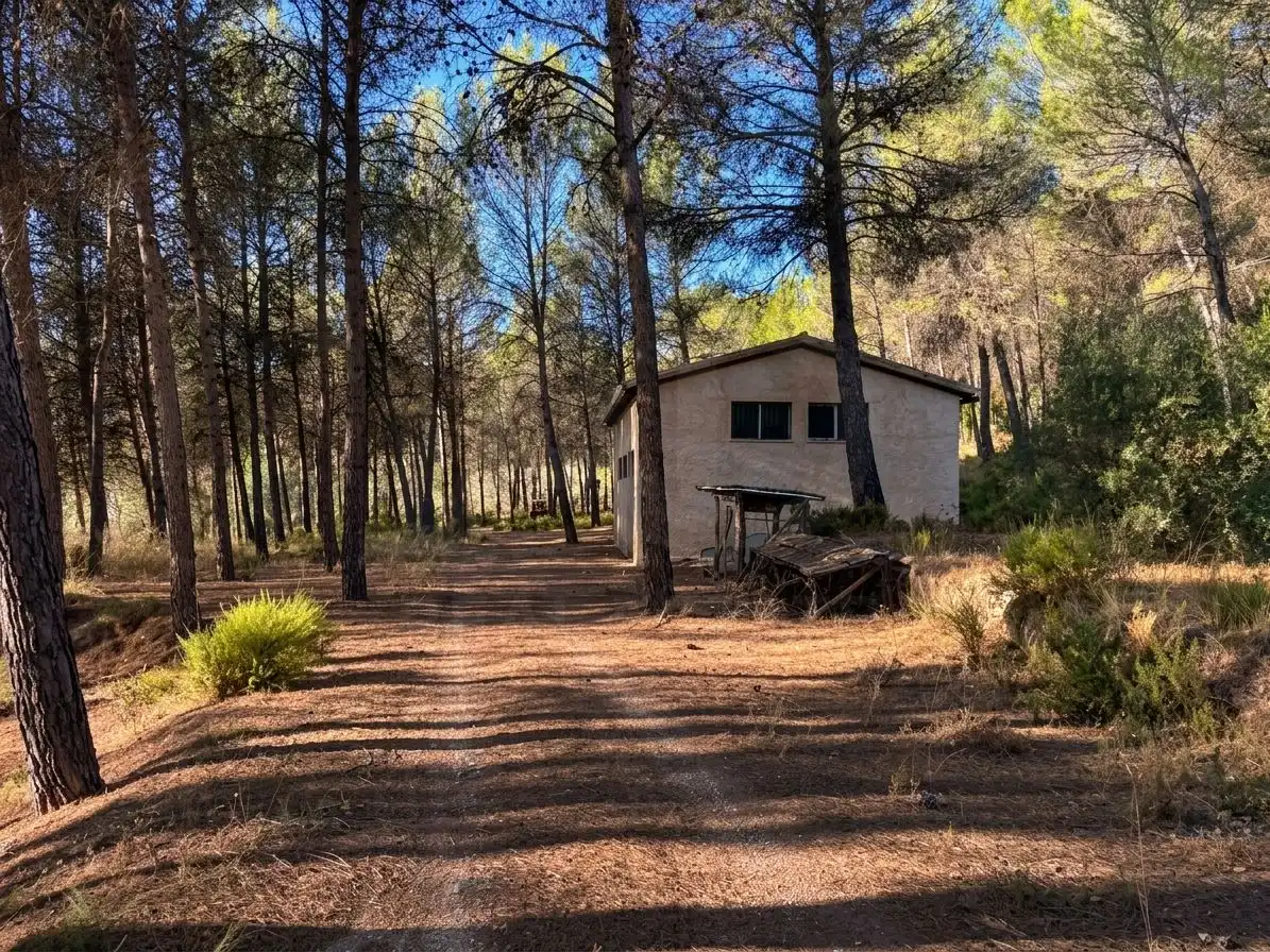 Terrenys i solars en venda a Batoi