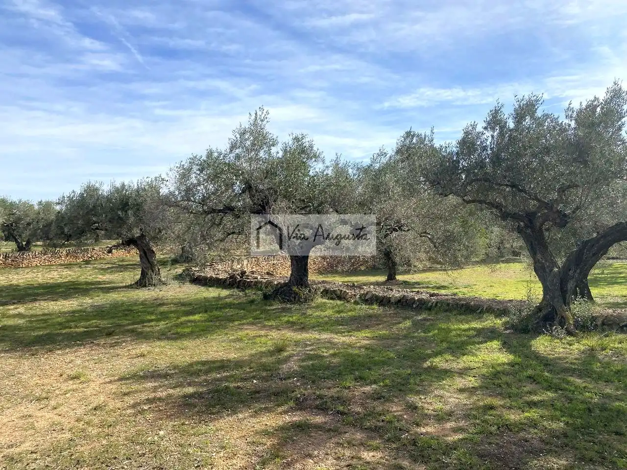 Terreno rustico in vendita a Planas