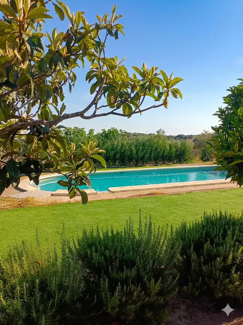 Piscina de Finca rústica en venta en Mirabel con Aire acondicionado, Calefacción y Trastero