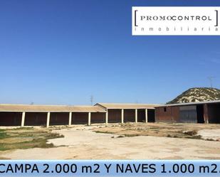 Industrial buildings to rent in Zuera