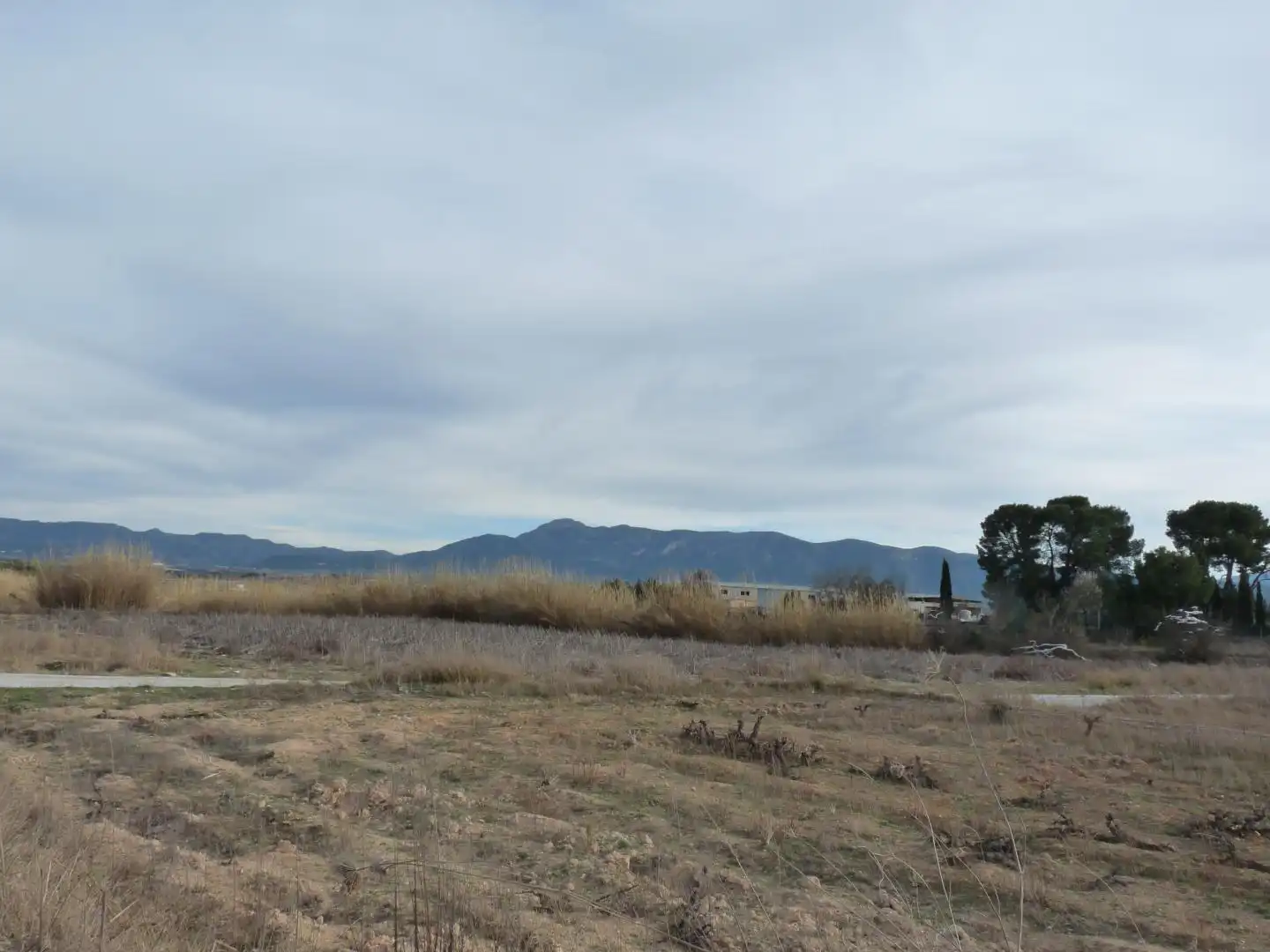Land for sale in Benissuera