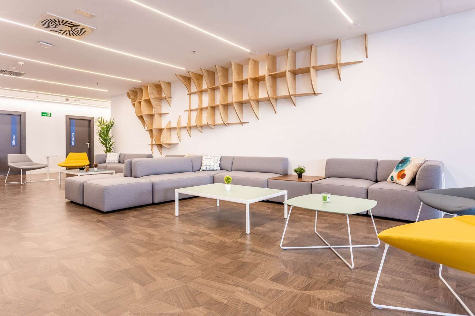 Study to share in Sector Sur  - La Palmera - Reina Mercedes