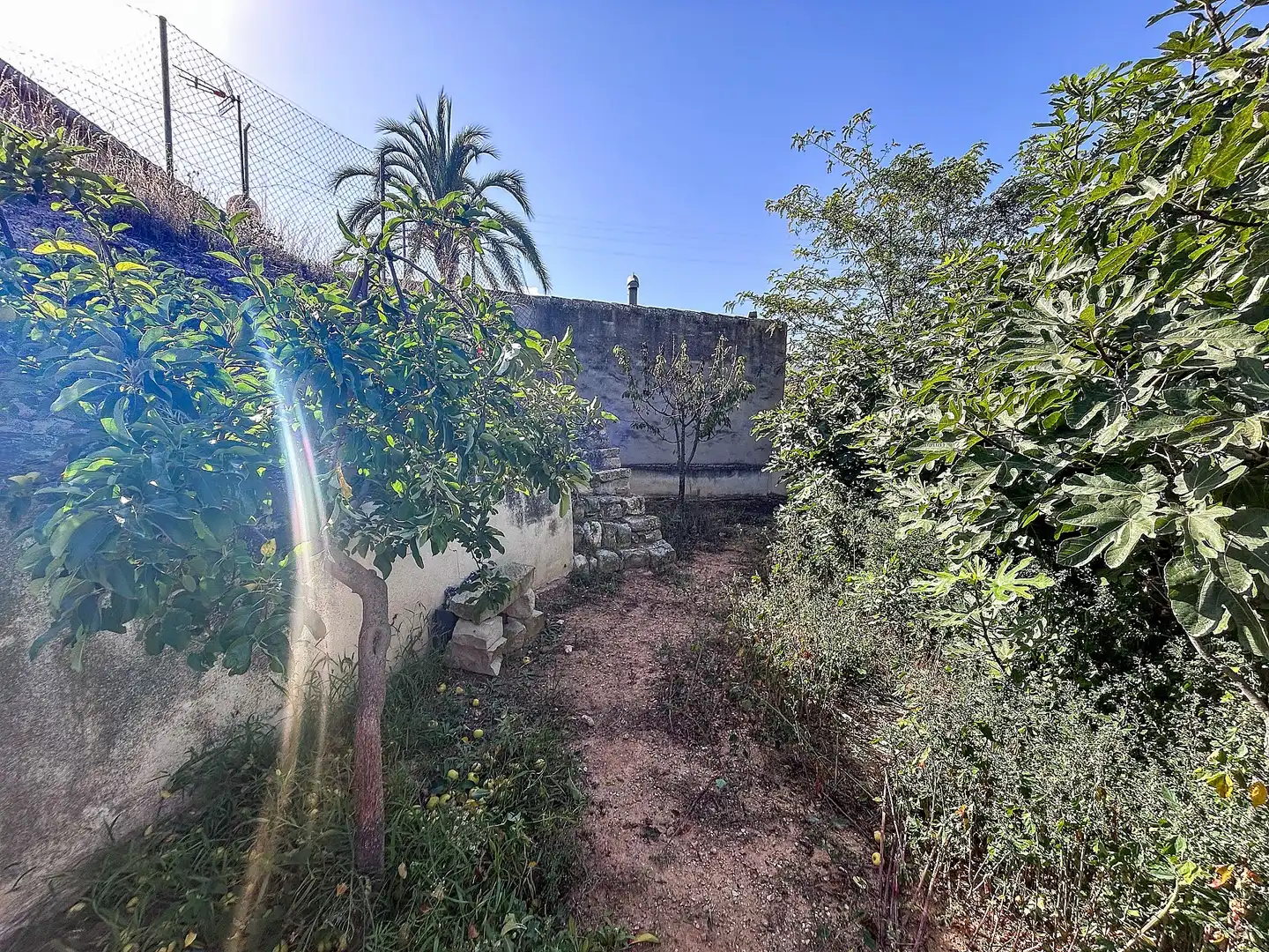 Casa rústica en venta en Monóvar  / Monòver, imagen 6
