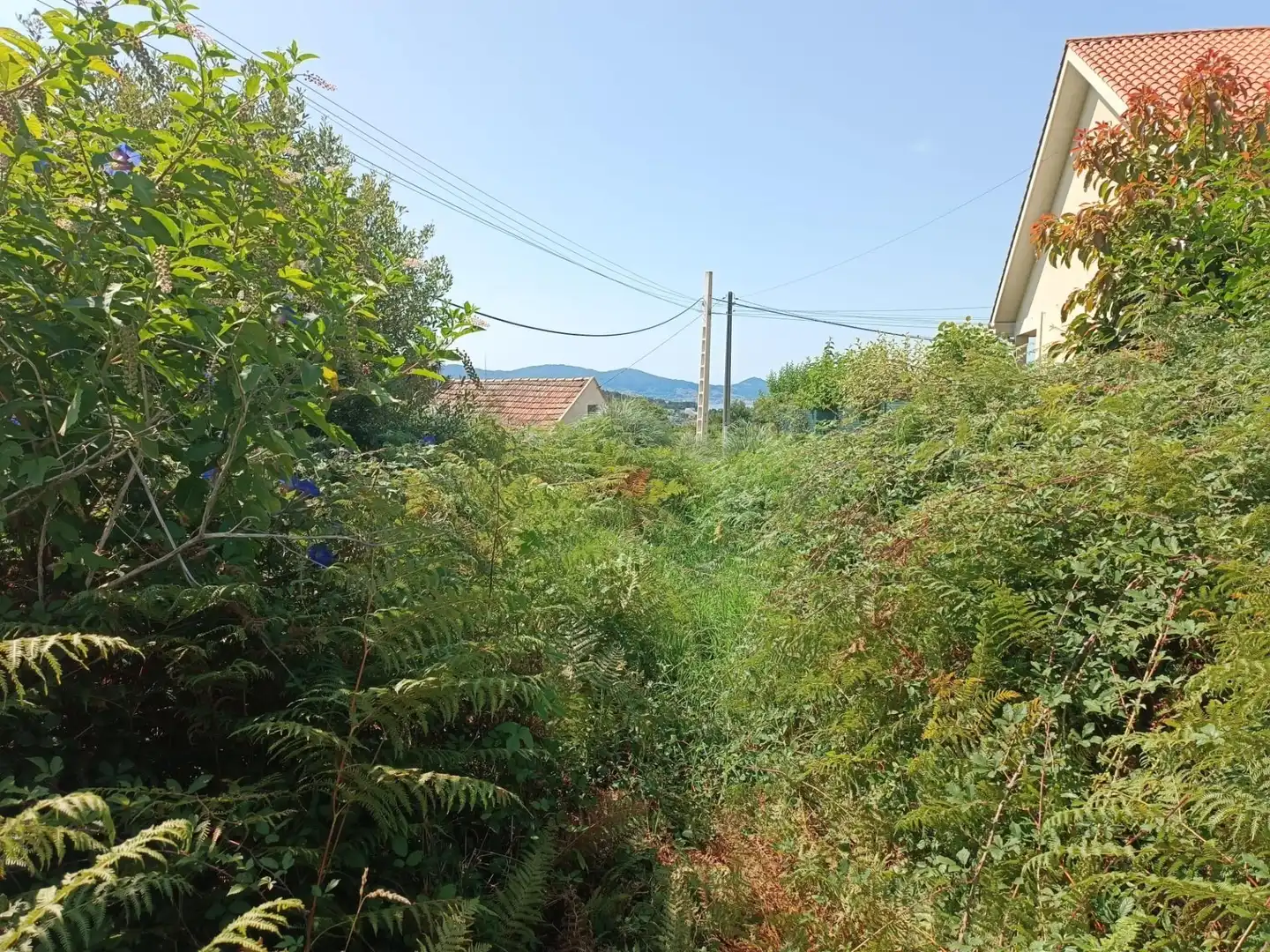 Residencial en venta en Lugar FREIXEIRO, 55, Dorrón