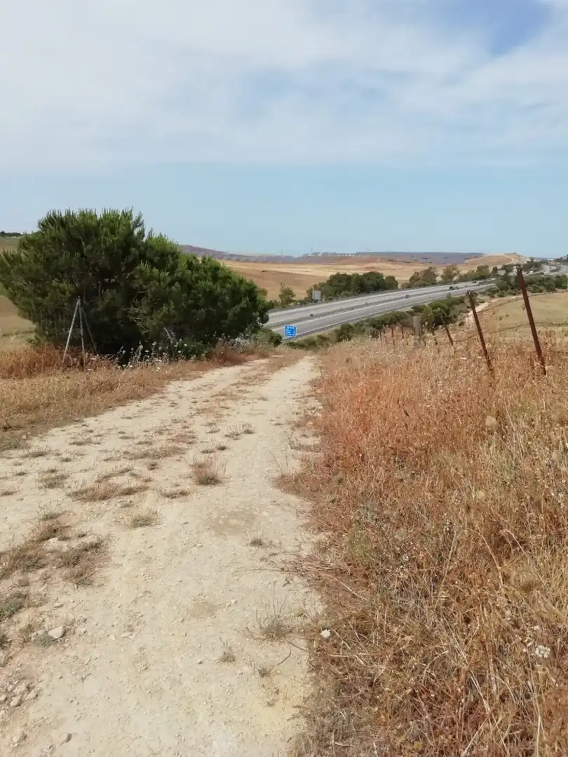 Terreno rustico in vendita a Barbate ciudad, imagen 3