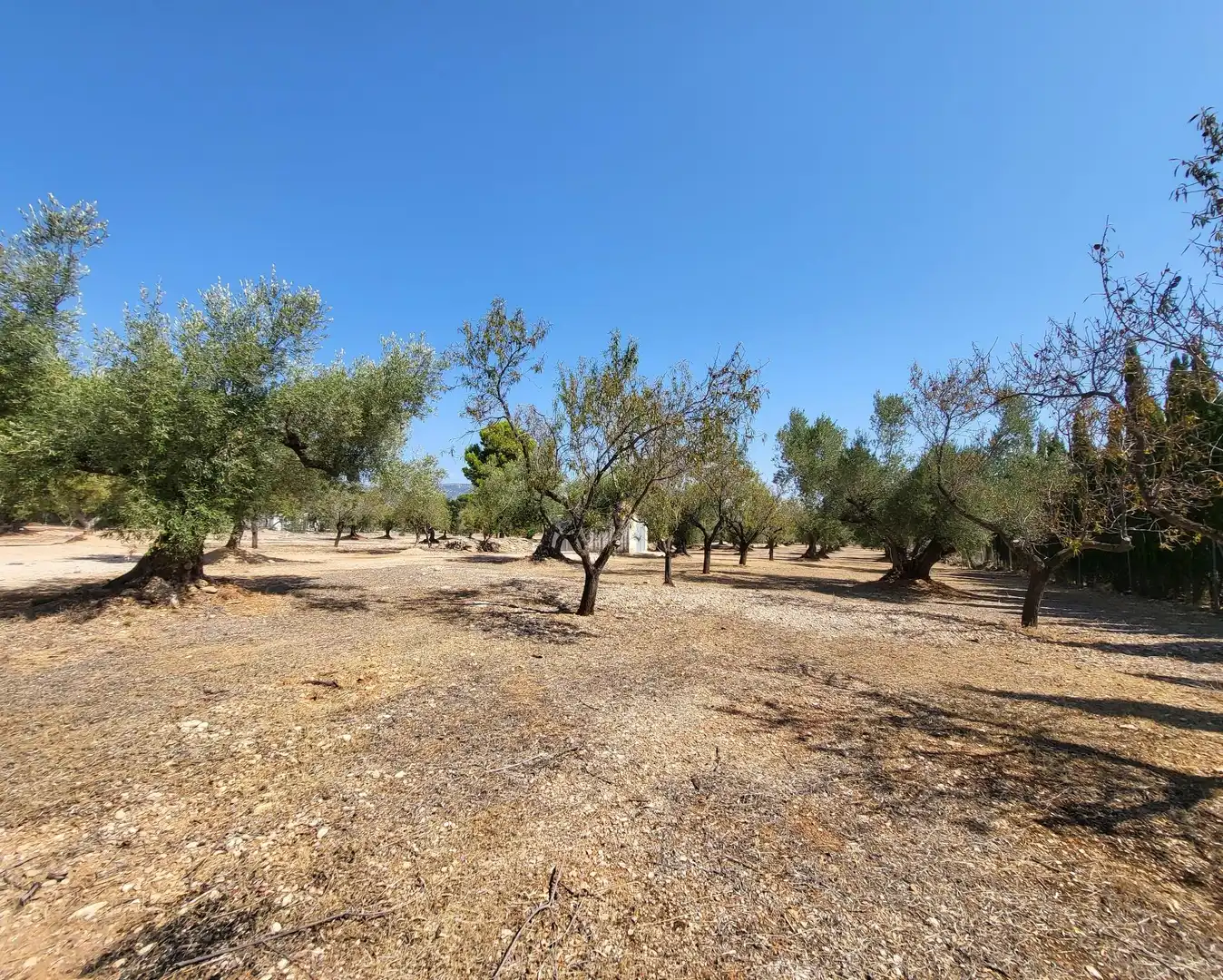 Landhaus mit Garten zum Verkauf in L'Ametlla de Mar pueblo, imagen 47
