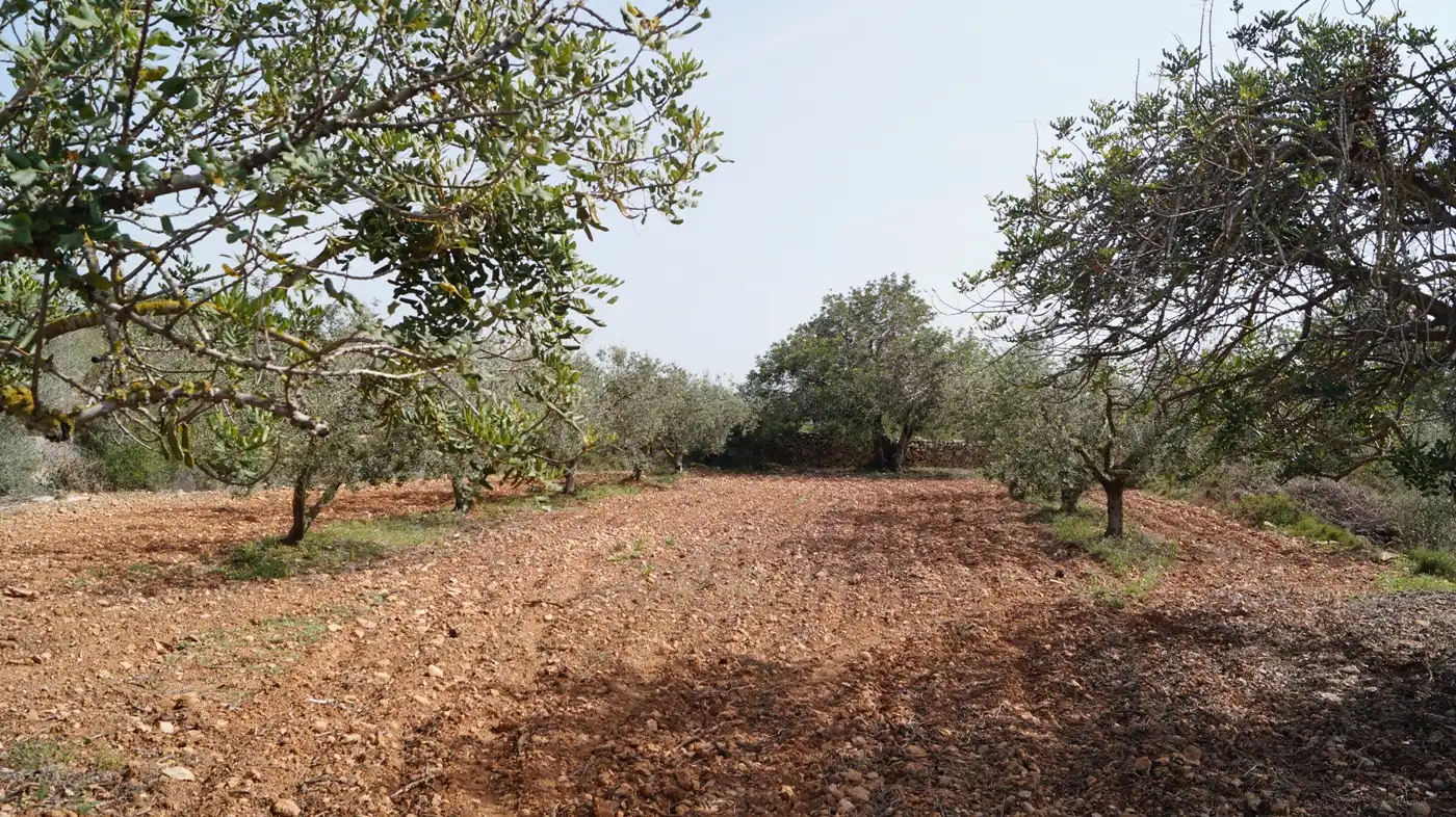 Terreno en venta en Torredembarra