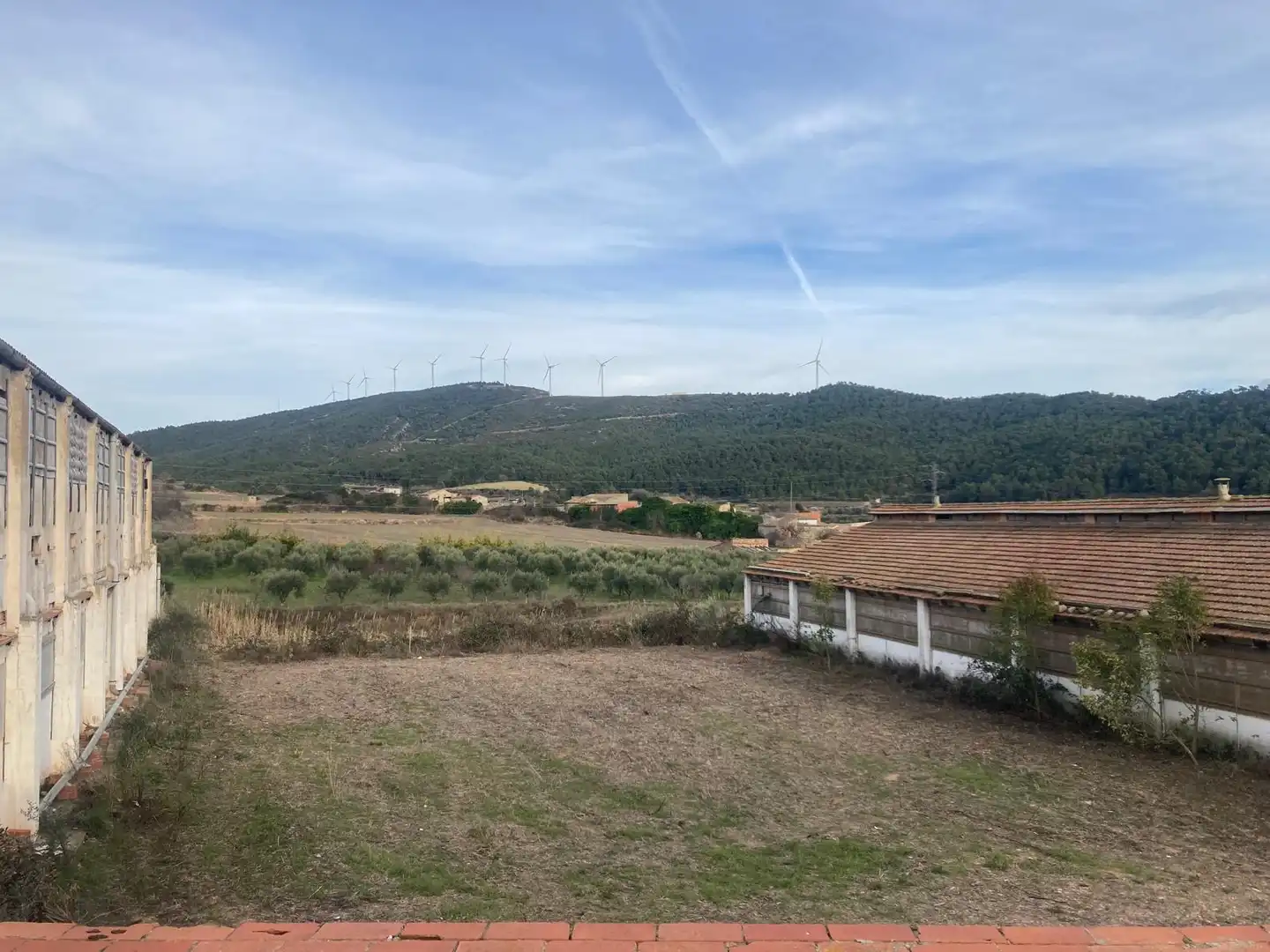 Nave industrial en venta en Cabra del Camp