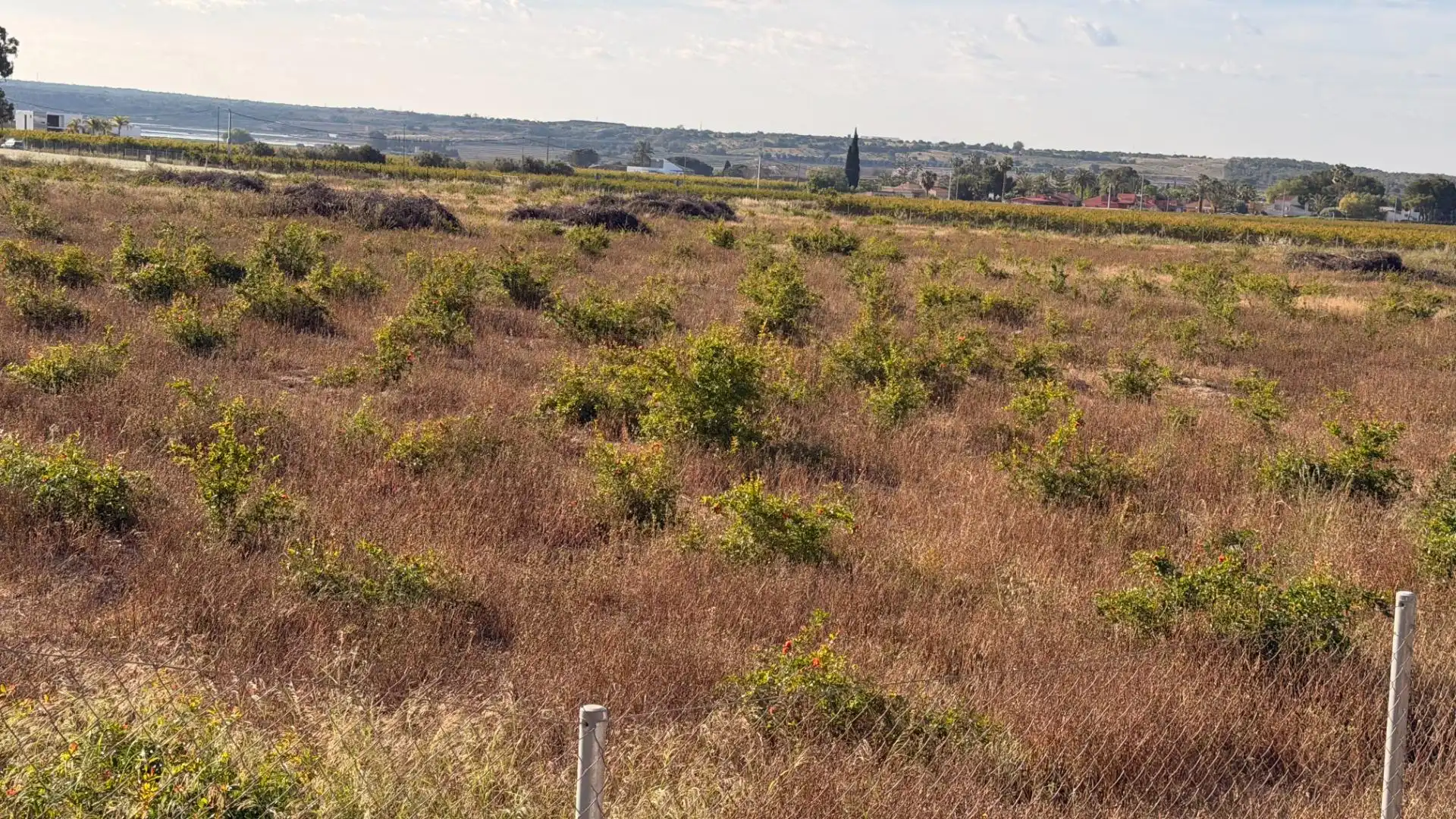 Residencial en venta en Elche / Elx