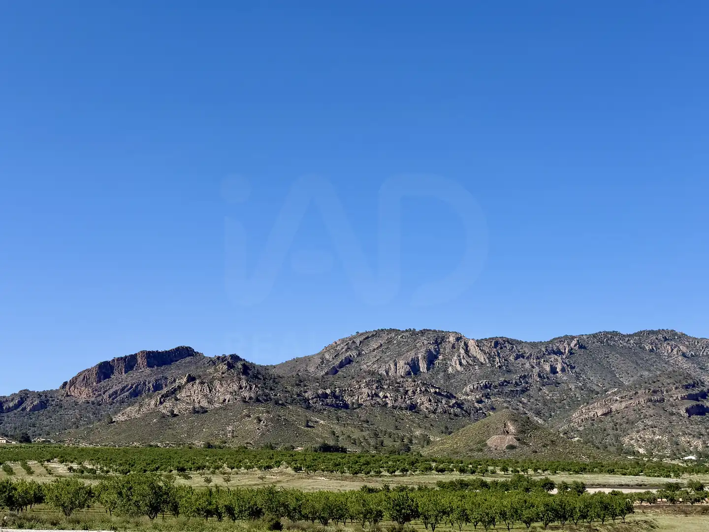 Grundstücke und Bauplätze zum Verkauf in Ricote, imagen 2