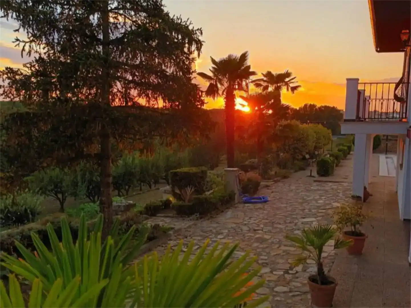 Jardí de Pis en venda en Ciudad Rodrigo amb Jardí privat, Piscina i Moblat