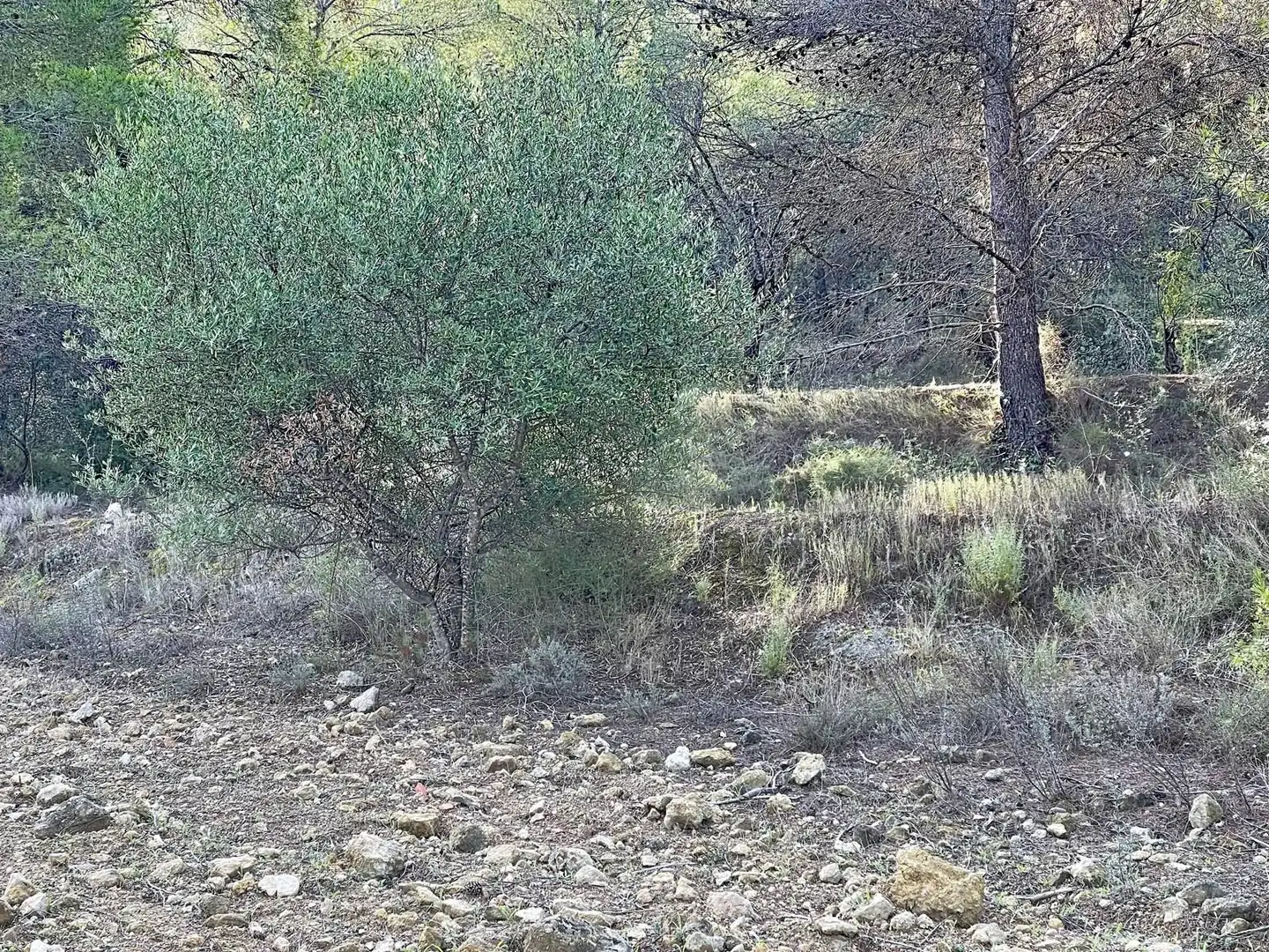 Wohnbaugrundstück zum Verkauf in Muro de Alcoy, imagen 12