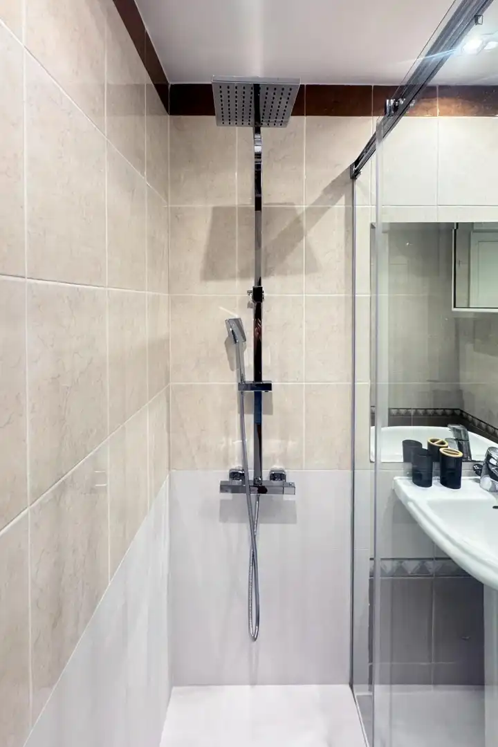 Bathroom of Apartments for rent in Madrid  with Heating, Furnished and Oven