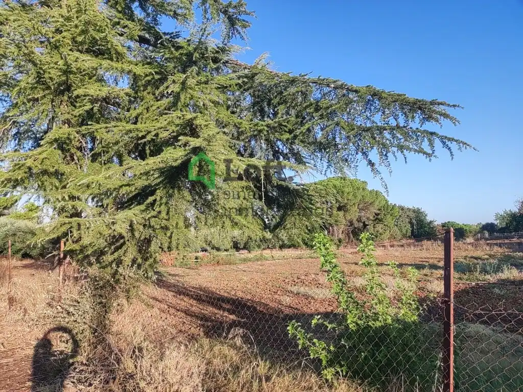 Terreno rustico in vendita a Pedanías de Badajoz, imagen 8