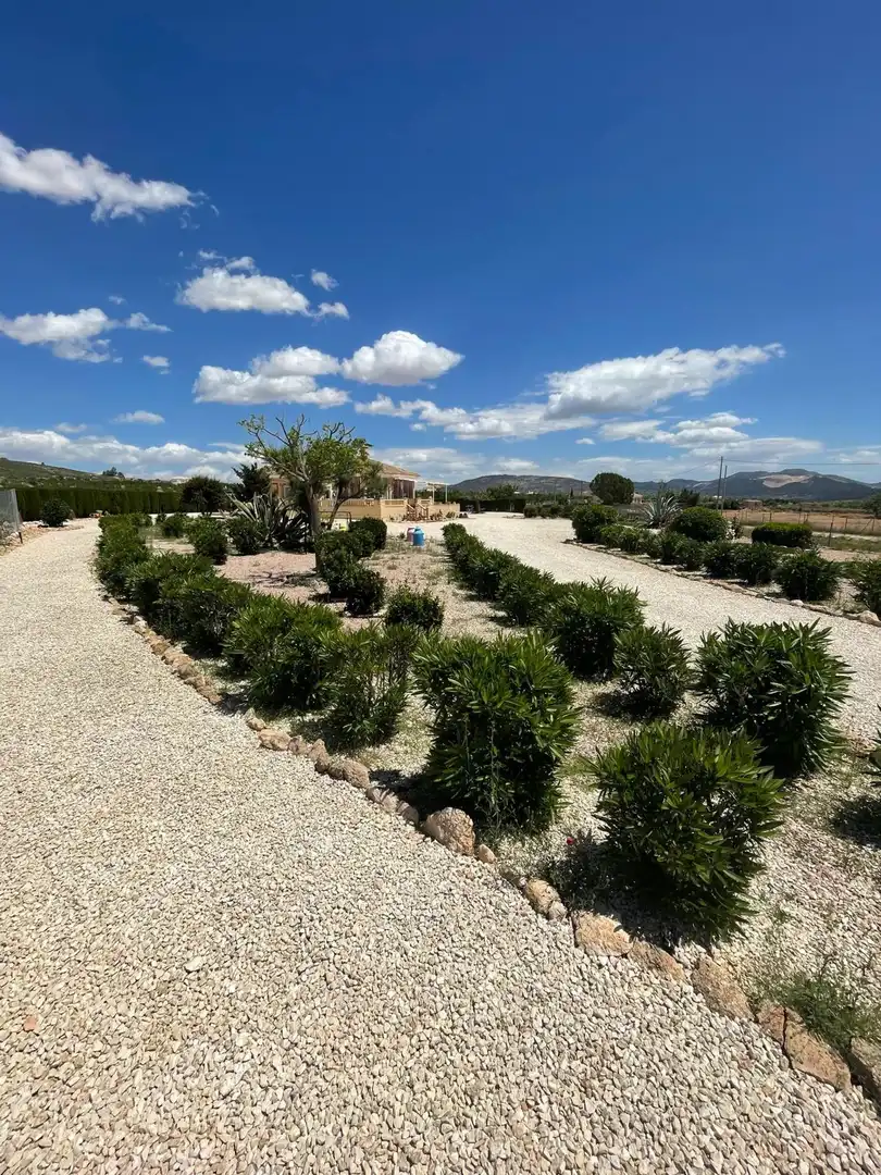 Villa à vendre à El Pinós / Pinoso, imagen 50