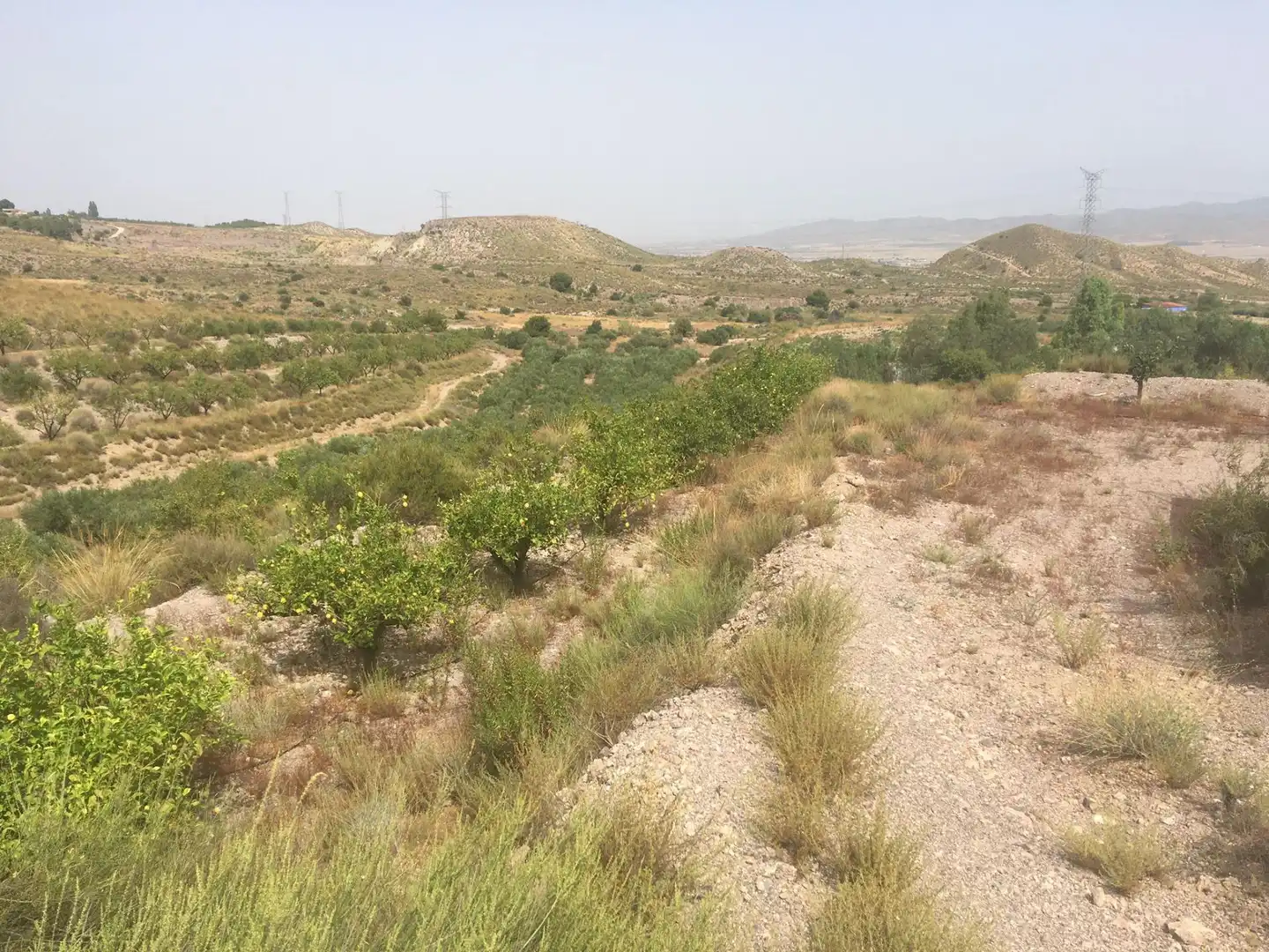 Country house zum Verkauf in Lorca mit Privatgarten und Schwimmbad