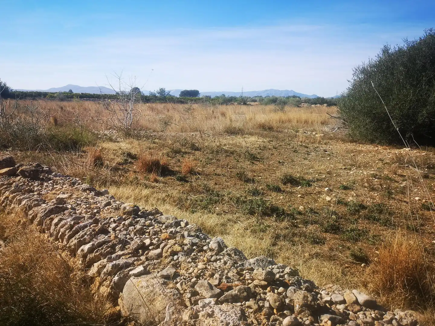 Terreno rustico in vendita a Traiguera, imagen 4