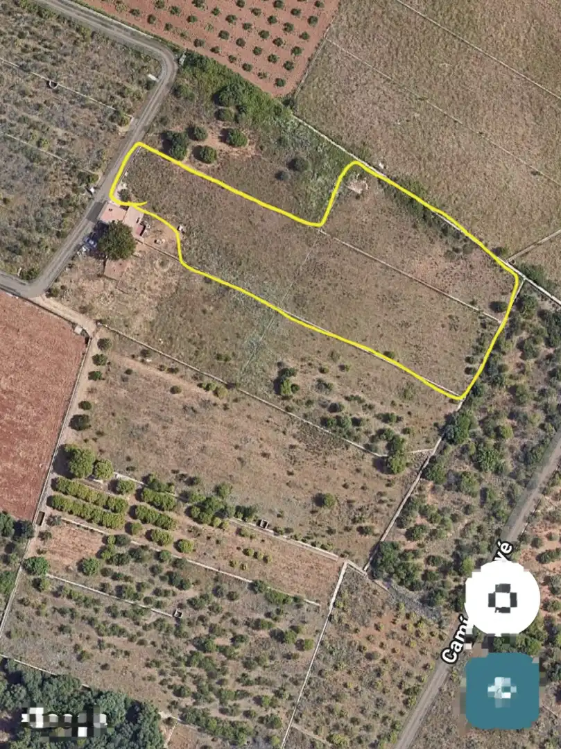 Terreny rústic en venda a Partida Bovalar 157, imagen 15