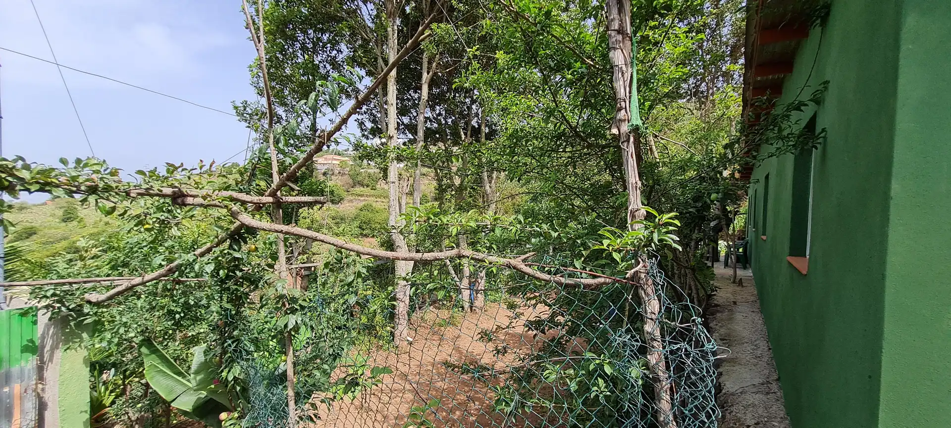 Finca rústica en venda a Icod de los Vinos pueblo