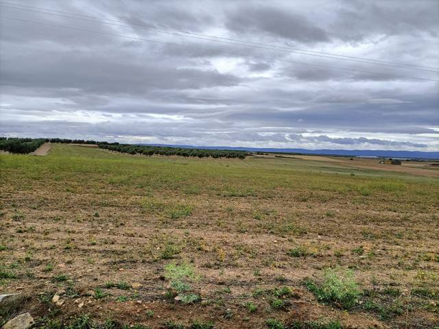 Terreno en Venta en Almonacid de Toledo