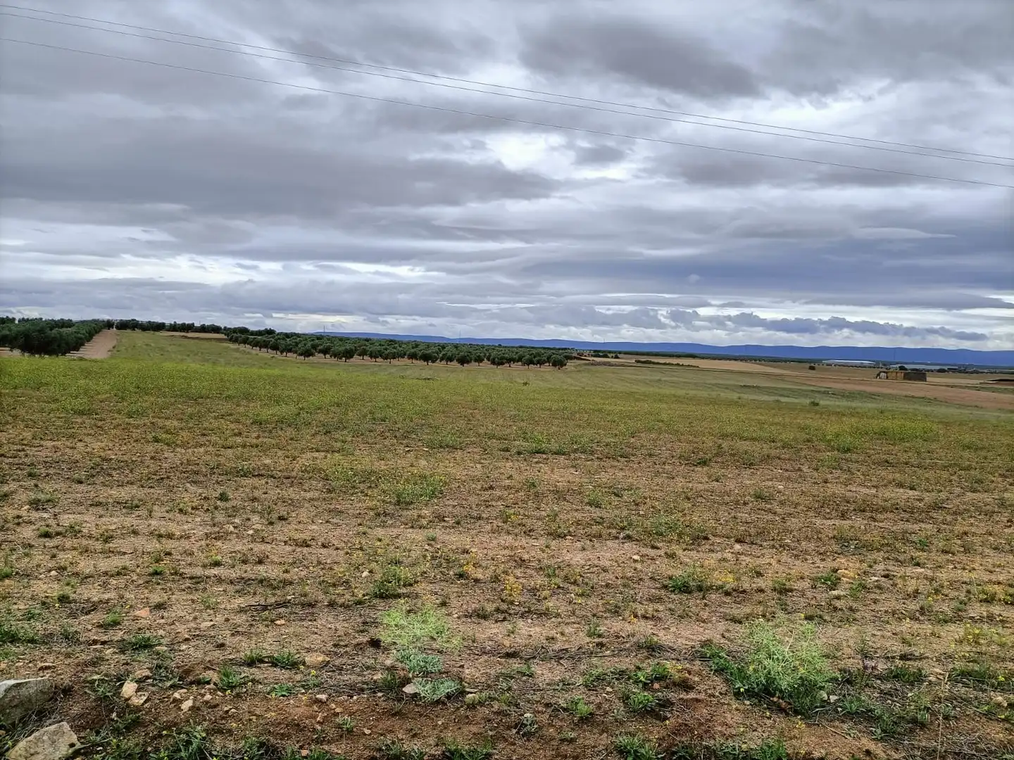 Rural land for sale in Almonacid de Toledo