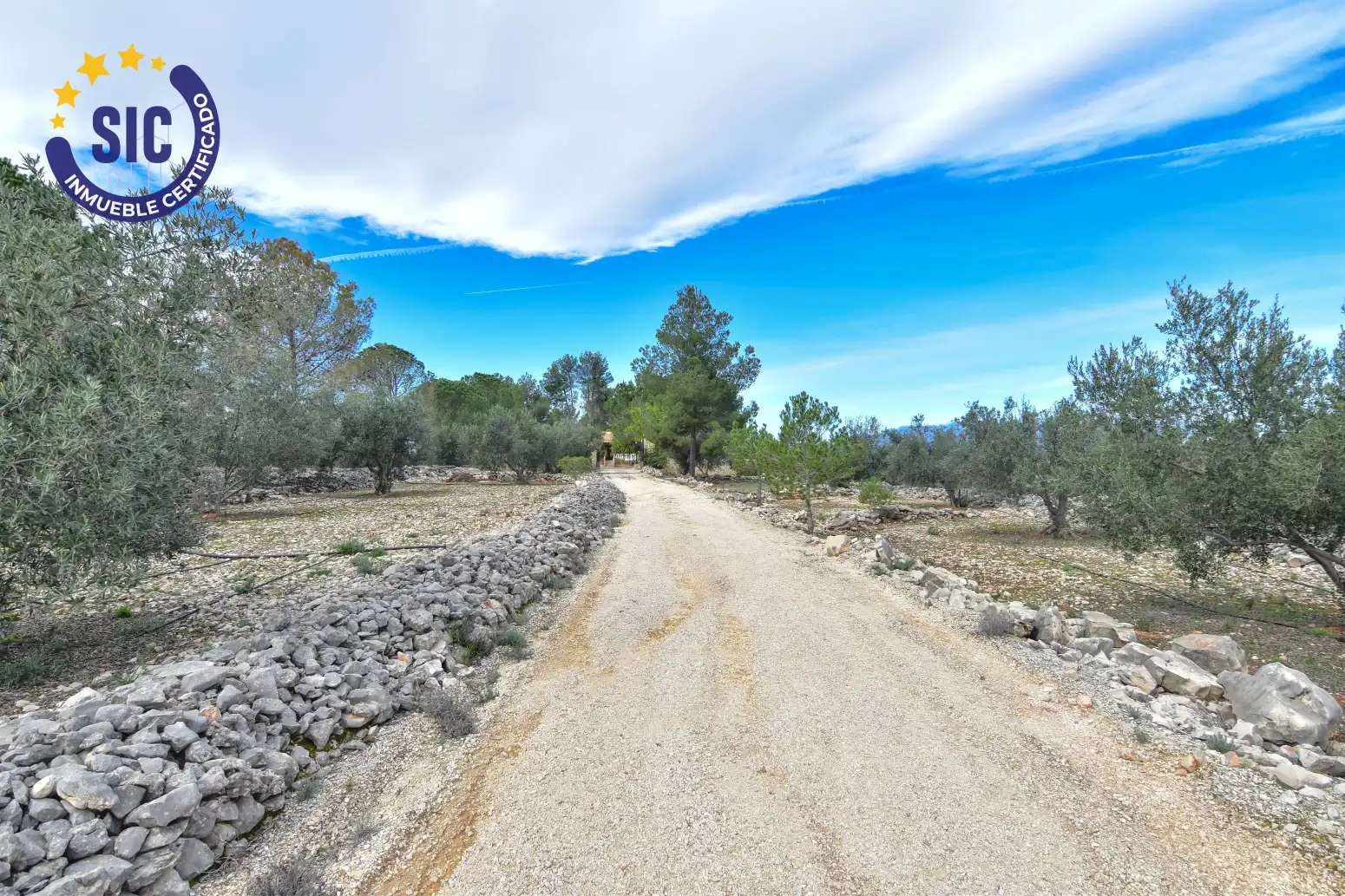 Casa o chalet en venta en Enguera - PARCELA 140 PARAJE EL CHARRAL, 104, Enguera