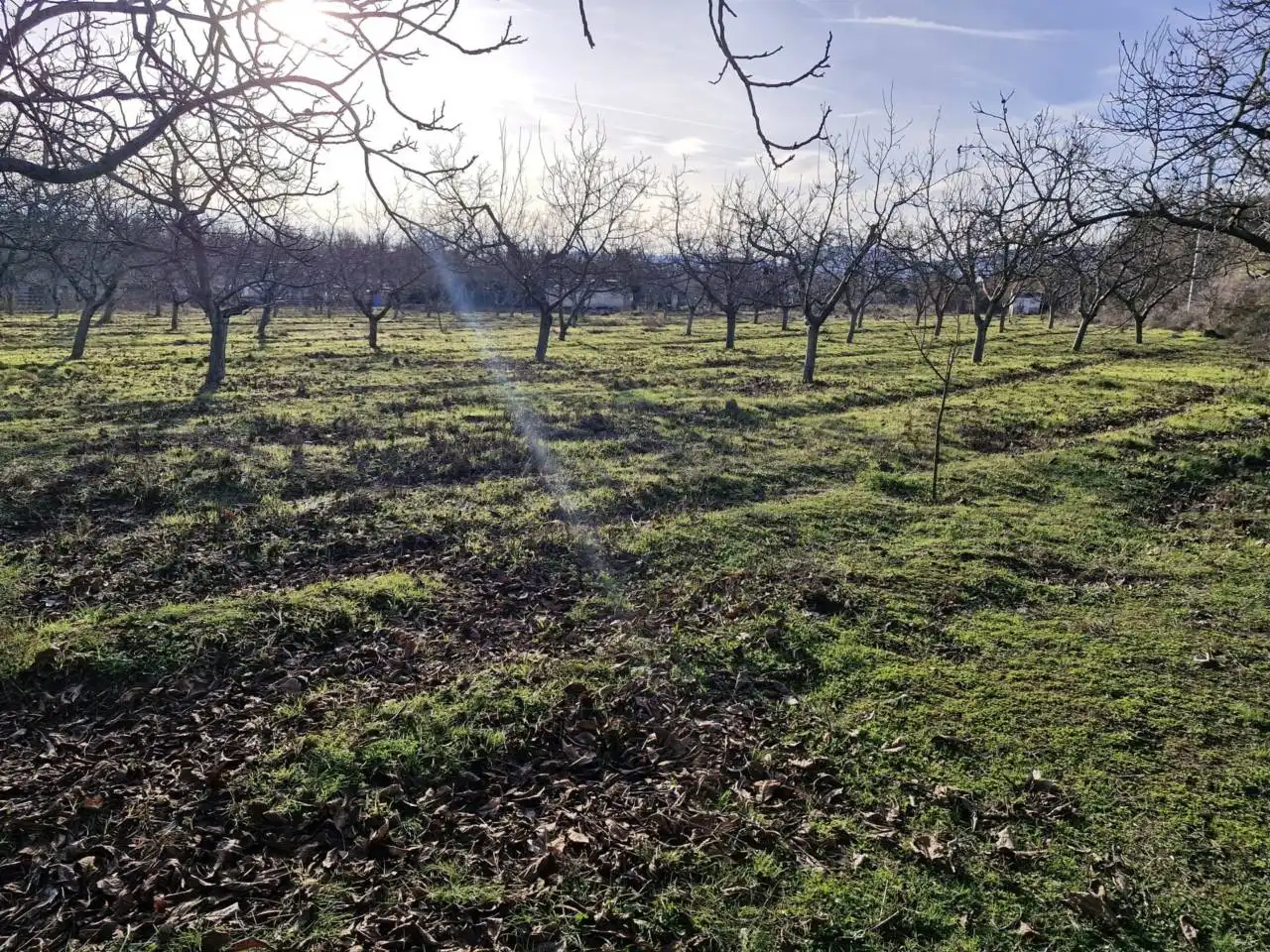 Rural land for sale in Calle DISEMINADO, imagen 3