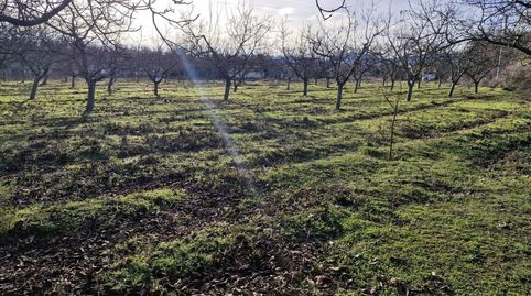 FINCA RÚSTICA EN VILLAMEDIANA A 15 MINUTOS ANDANDO DE LOGROÑO, imatge 3