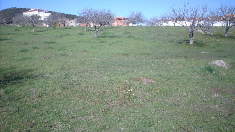 Residential for sale in Monesterio