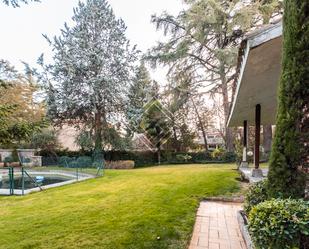 Jardí de Casa o xalet en venda en  Madrid Capital amb Calefacció, Jardí privat i Piscina