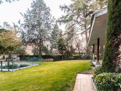 Jardí de Casa o xalet en venda en  Madrid Capital amb Piscina