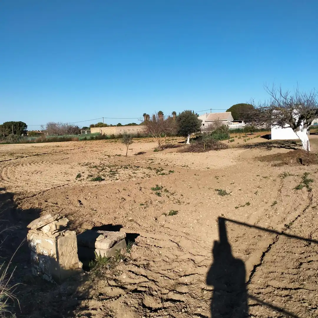 Lands and plots for sale in Los Franceses – La Vega, imagen 6