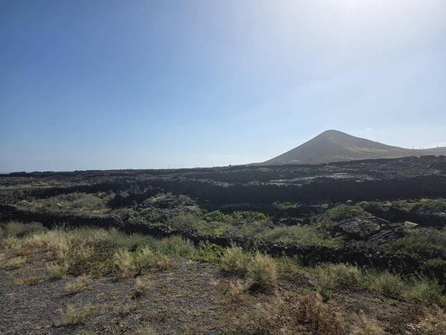 Terreno residencial en Venta en Tahiche