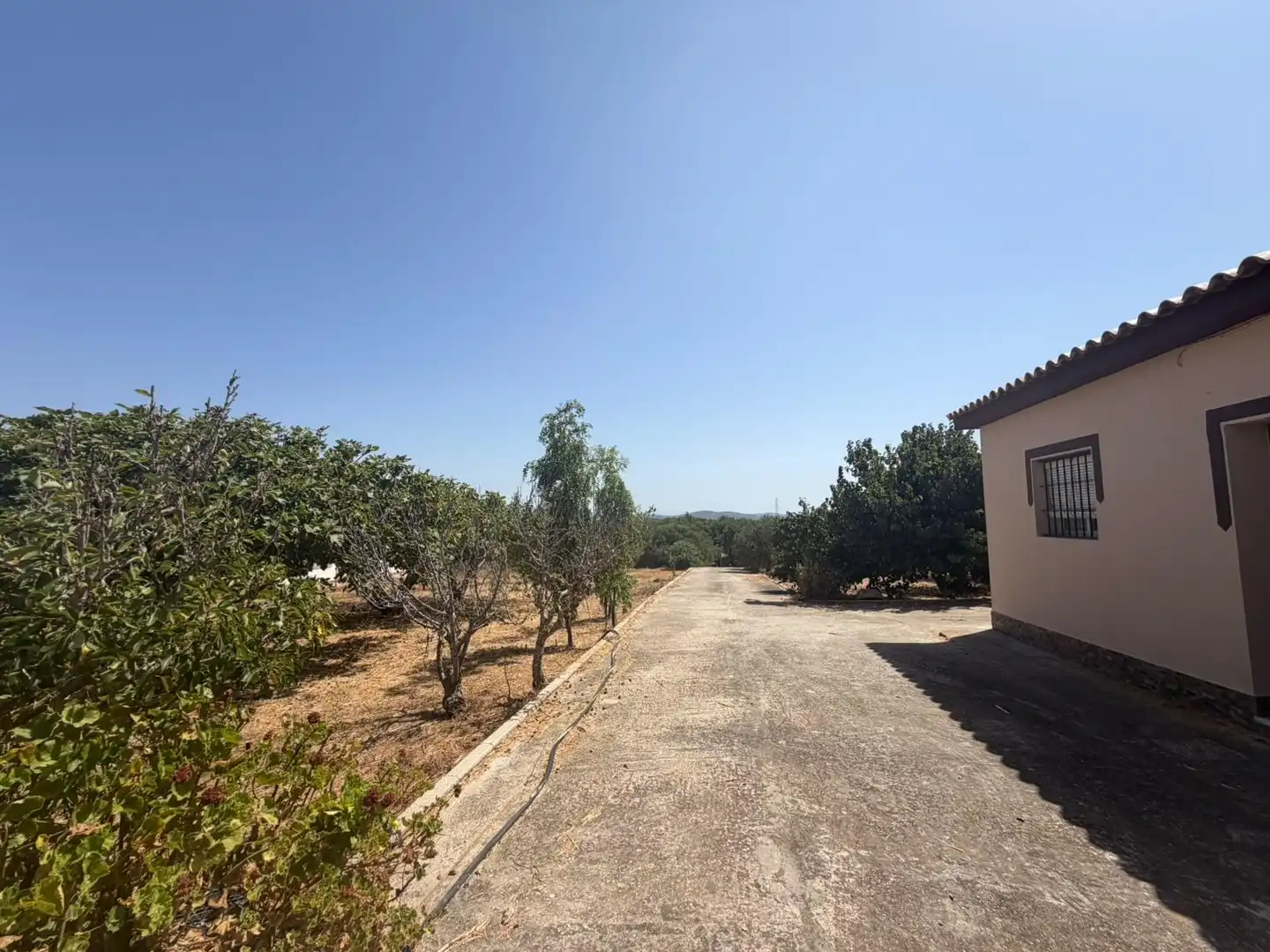 Casa rústica amb jardí en venda a Pelagatos - Pago del Humo, imagen 2