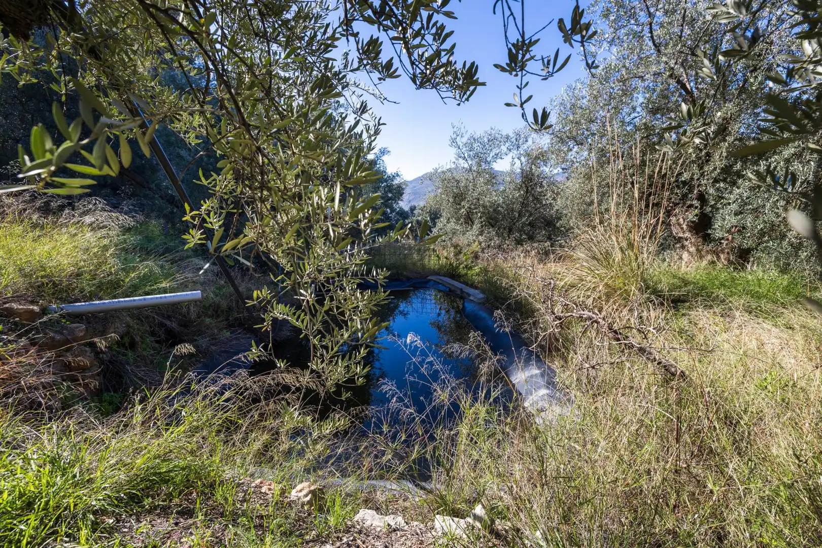 Rustikales Grundstück zum Verkauf in BARRANCO JUAN BUENO, POLIGONO 12, imagen 33