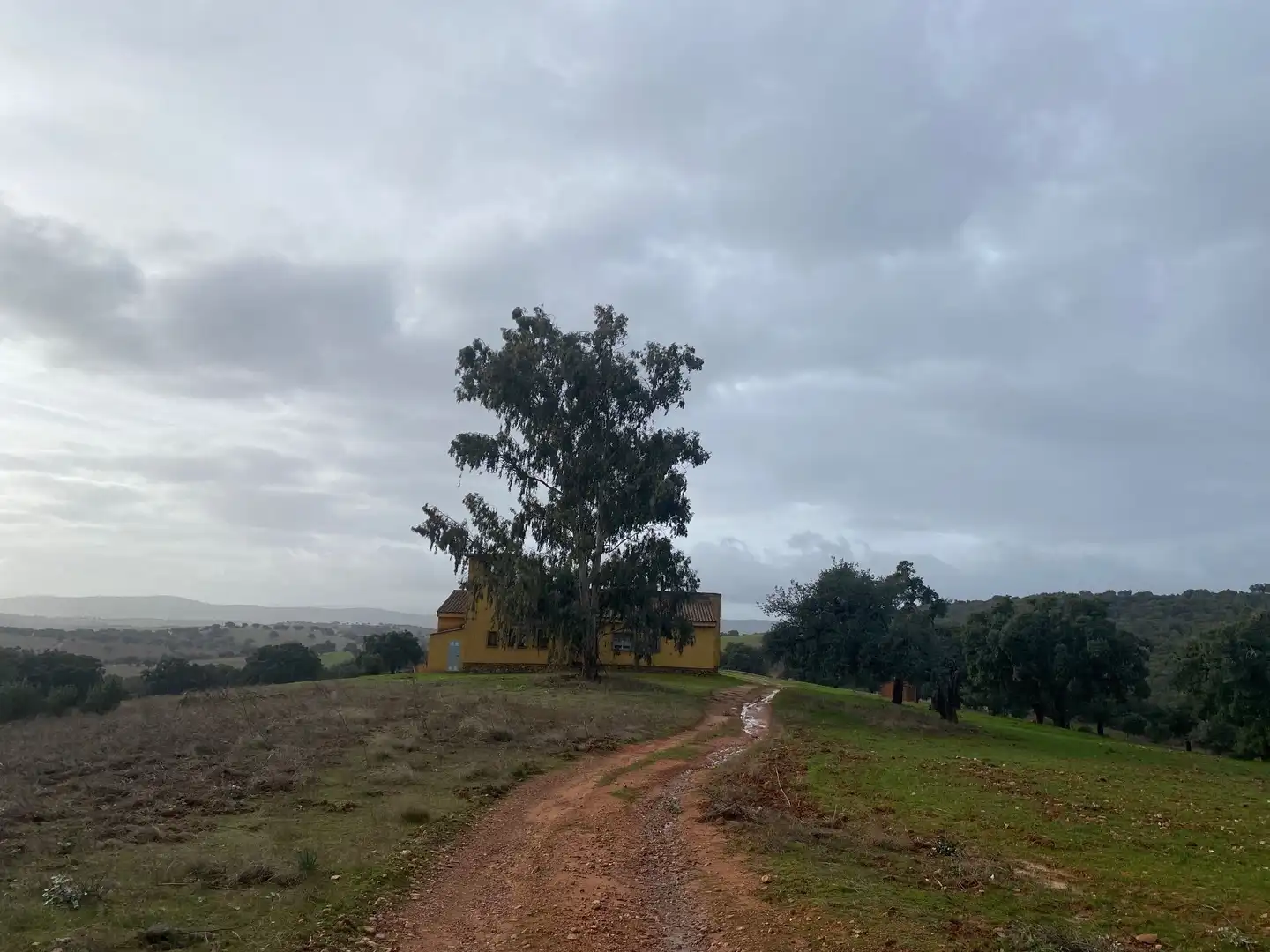 Terreno en venta en Anchuras