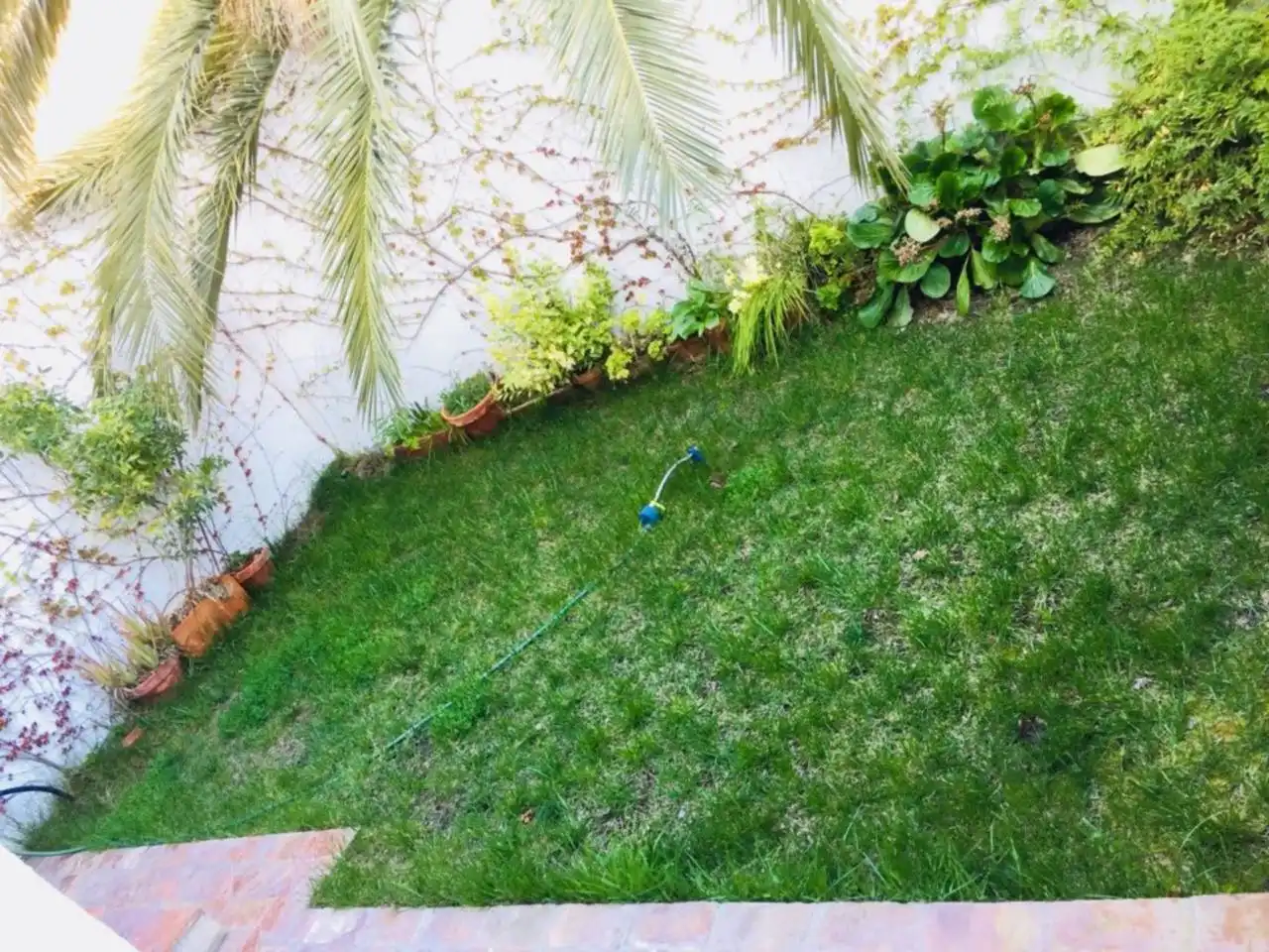 Jardí de Casa o xalet en venda en Baza amb Jardí privat
