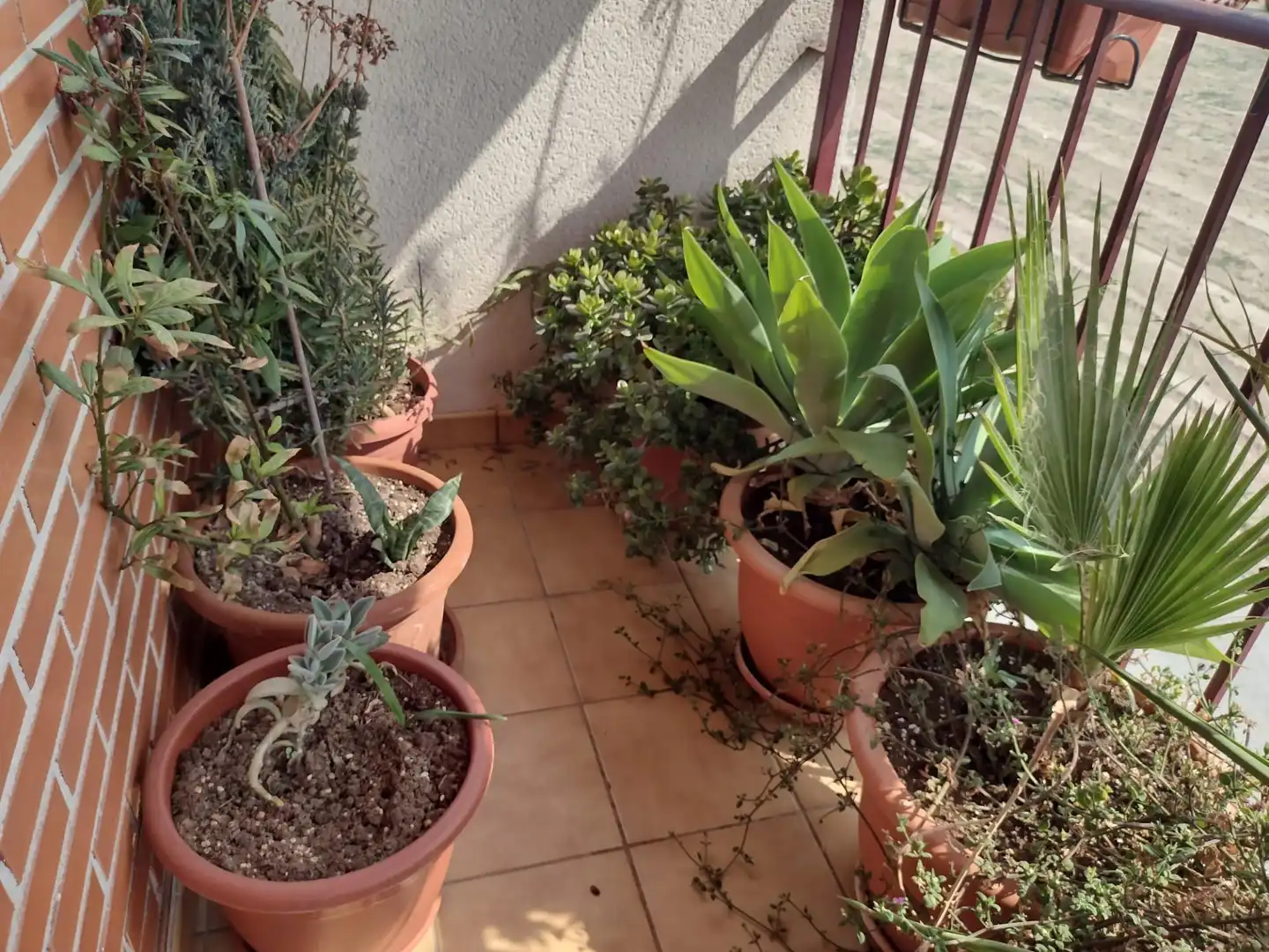 Terraza de Casa o chalet en venta en Murcia con Aire acondicionado, Terraza y Amueblado
