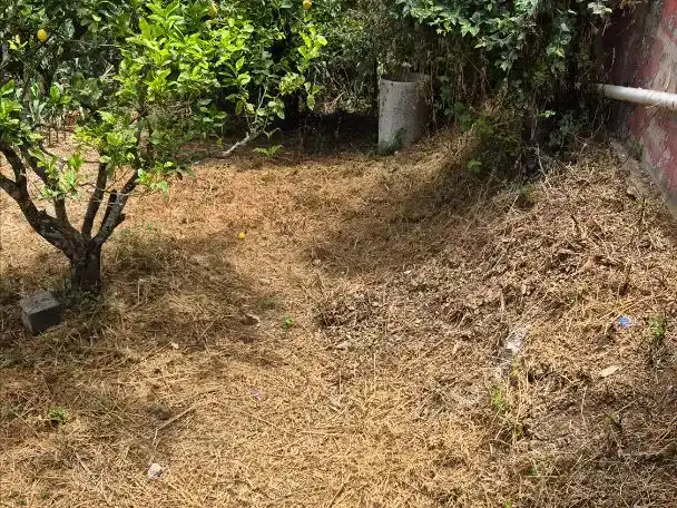Planta baixa en venda en Moya (Las Palmas) amb Jardí privat, Parquet i Traster