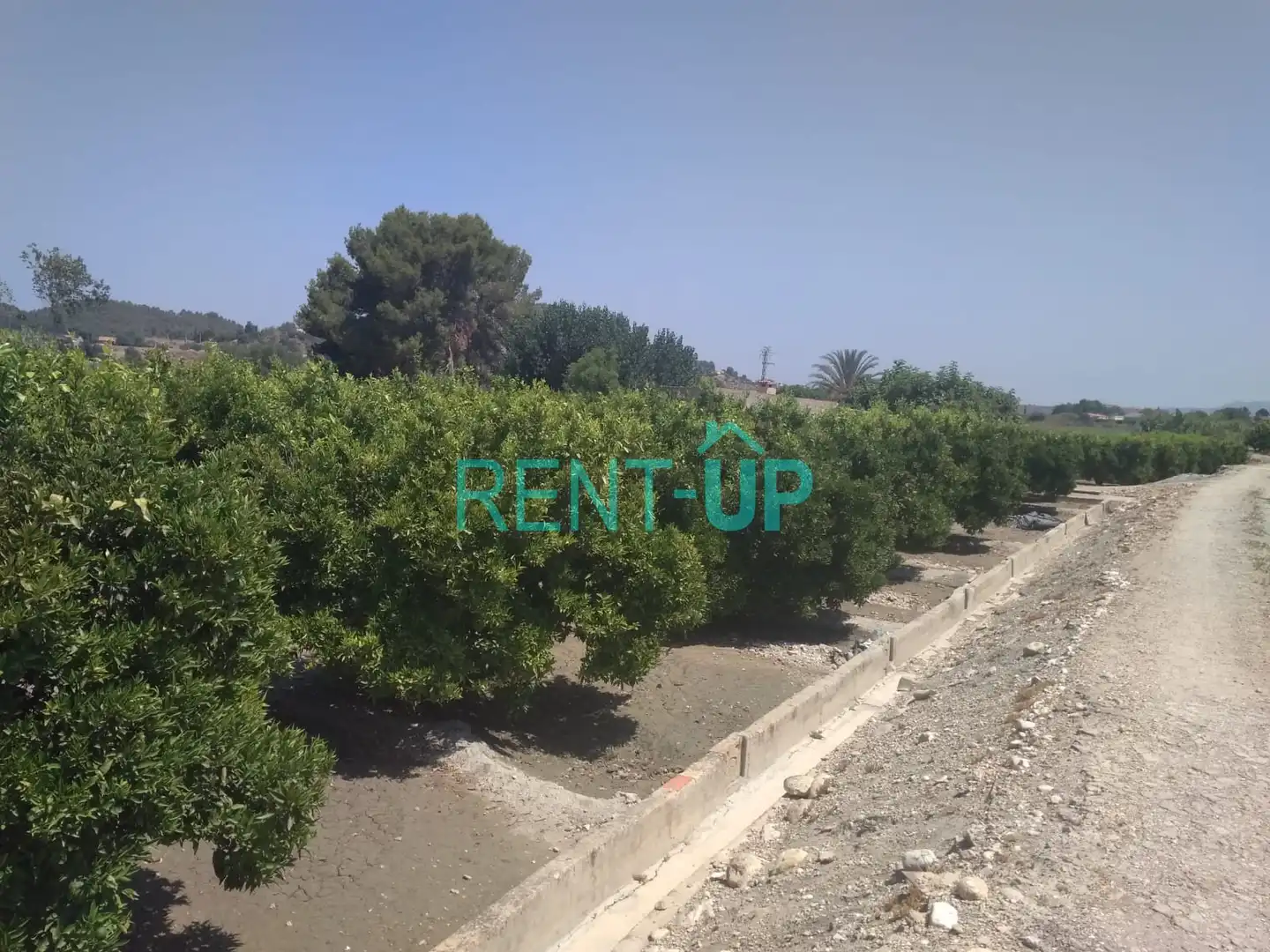 Terreny residencial en venda a Xàtiva, imagen 15