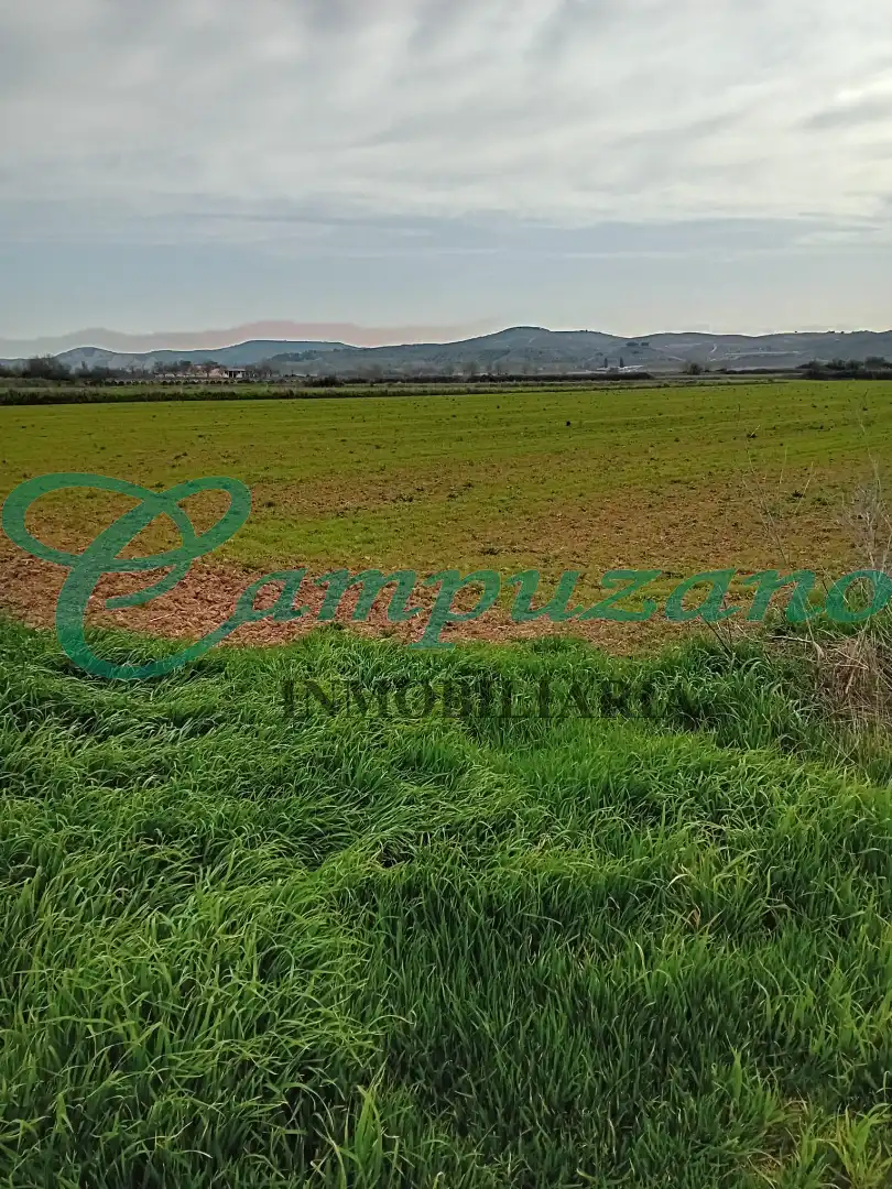 Terreno en venta en Calera y Chozas