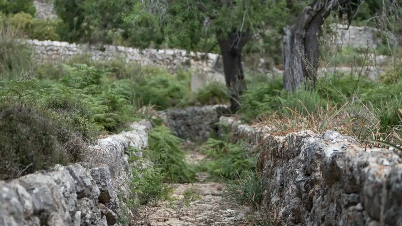 Vista exterior de Finca rústica en venta en Escorca con Jardín privado, Terraza y Trastero