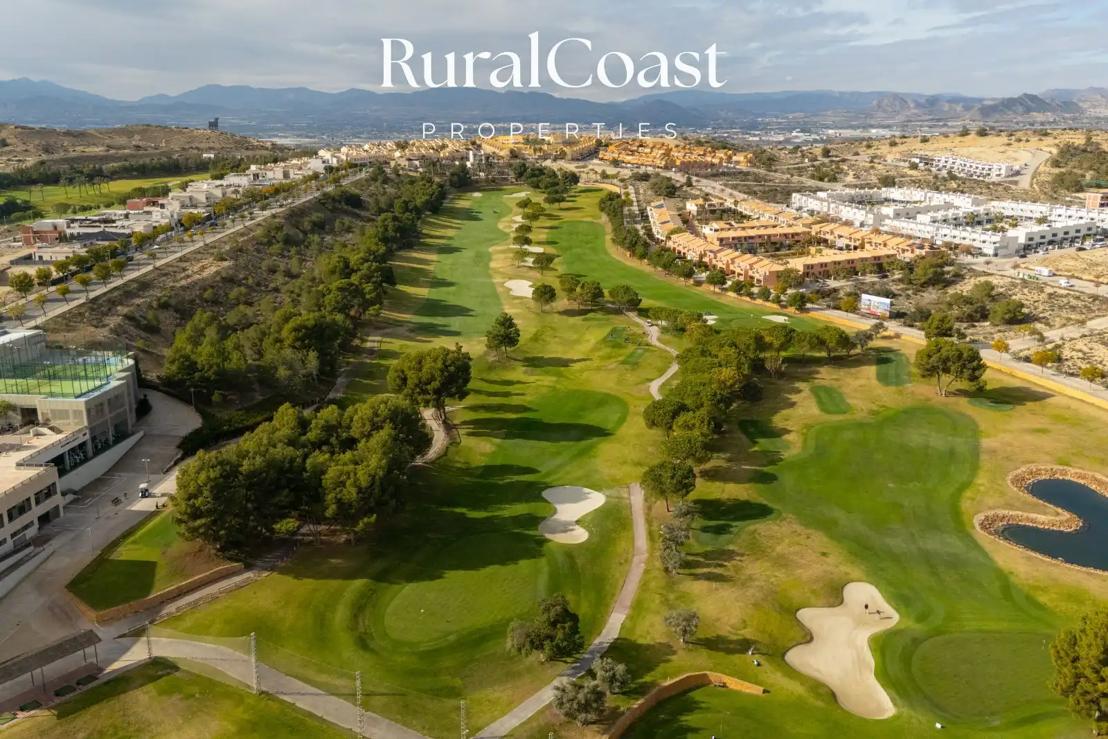 Detached homes for sale in Las Sabinas, 22, Monforte del Cid