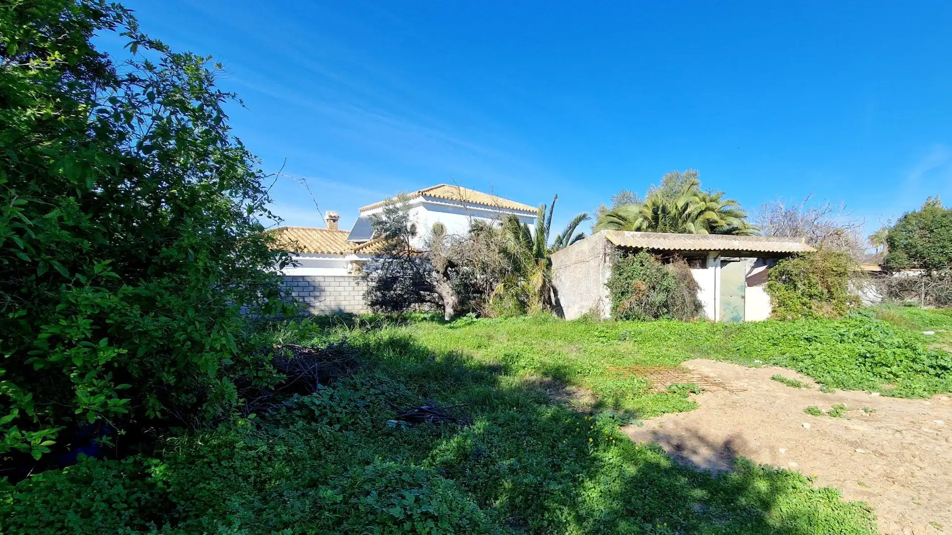 Finca rústica en venta en Valencina de la Concepción