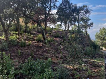 Grundstücke und Bauplätze zum Verkauf in Lloret Residencial - Montlloret