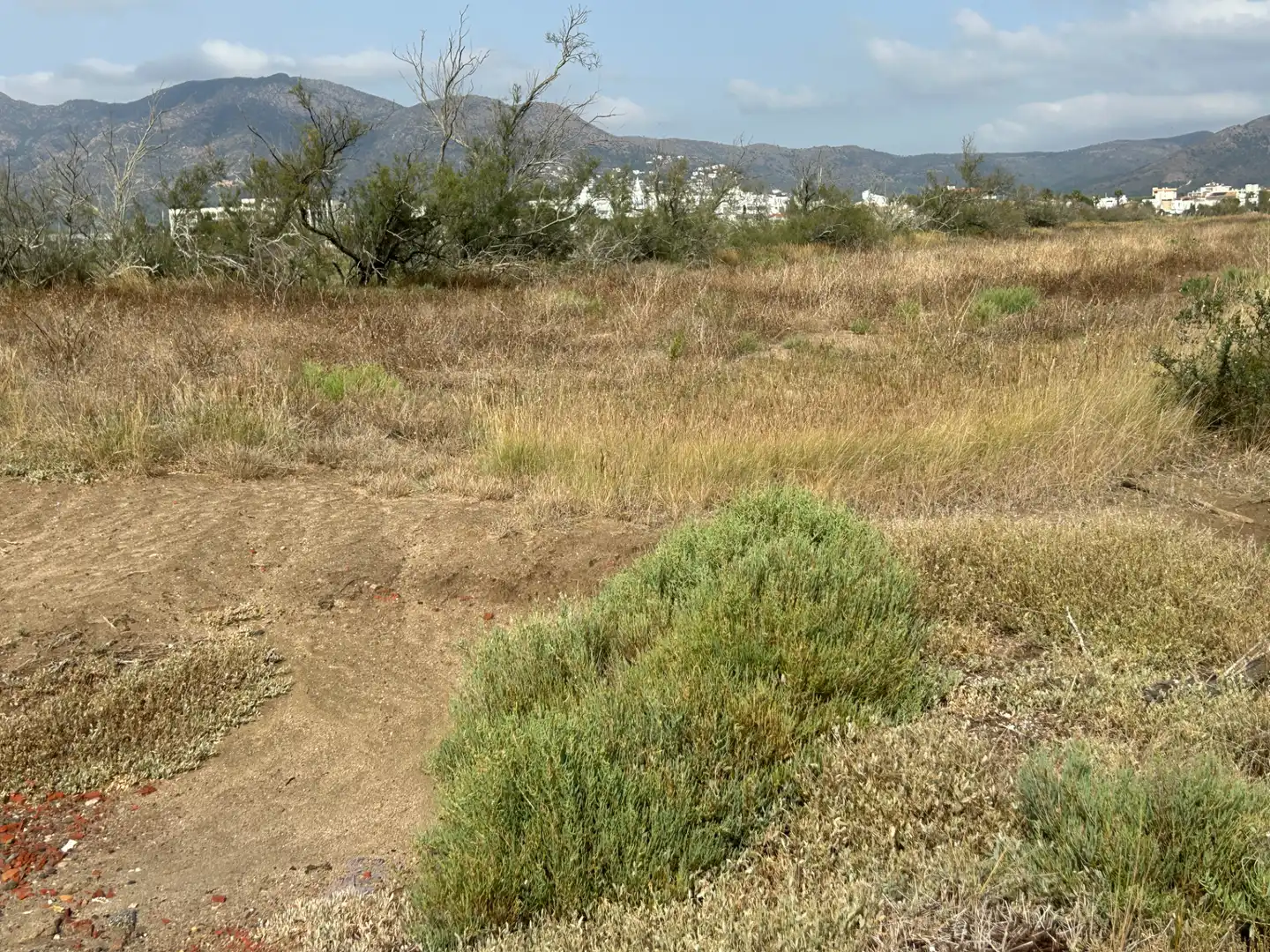 Terreny rústic en venda a Castelló d'Empúries, imagen 3
