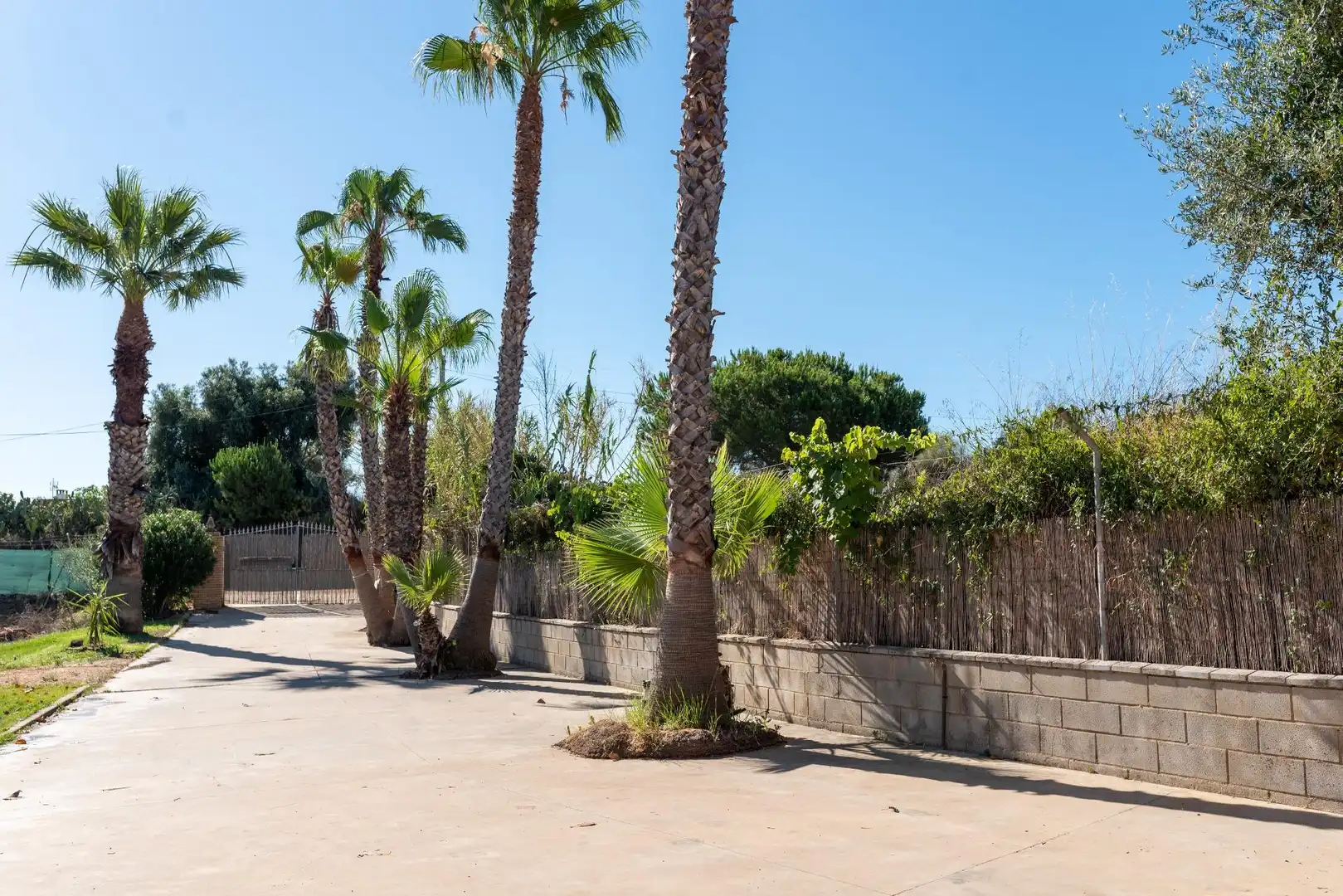 Vista exterior de Finca rústica en venta en Lepe con Calefacción, Jardín privado y Terraza